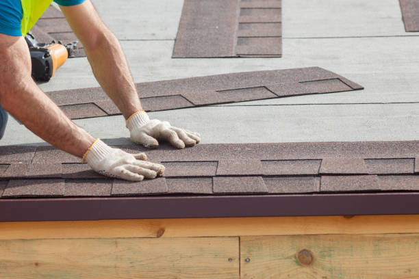 Best Rubber Roofing (EPDM, TPO)  in Oak Park, IL
