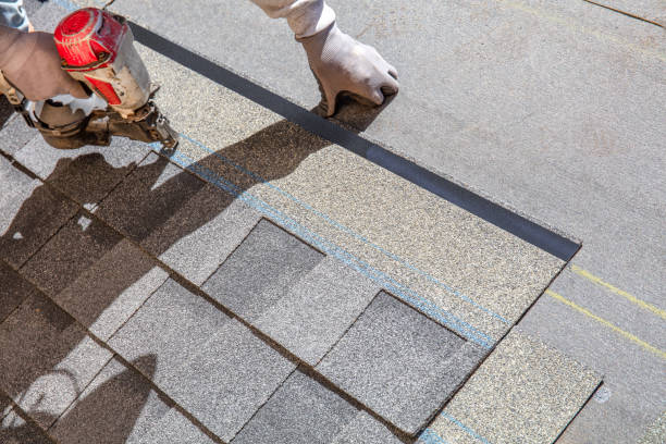 Best Metal Roofing Installation  in Oak Park, IL
